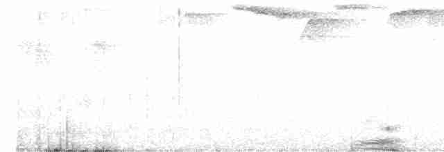 Periha Çalı Serçesi - ML416969011