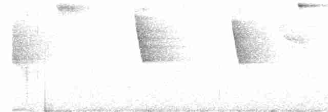 Periha Çalı Serçesi - ML416969121
