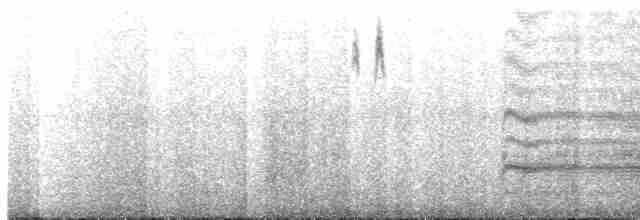 Karaca Sinklot (antarcticus) - ML417019631