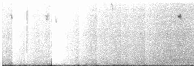 Тёмная трясохвостка (antarcticus) - ML417023751