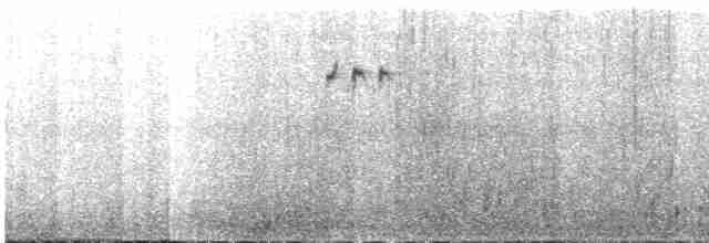 Тёмная трясохвостка (antarcticus) - ML417023771