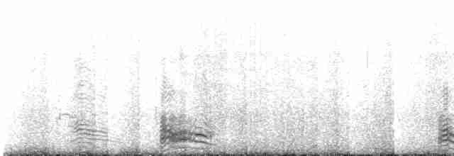Kahverengi Korsanmartı (antarcticus) - ML417026051