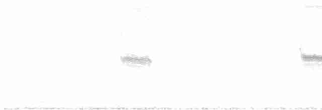 Great Gray Shrike - ML417160511