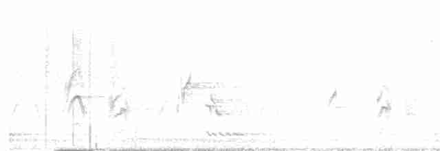 インドカンムリアマツバメ - ML417196261
