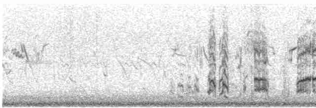 Lagopède à queue blanche - ML417253941