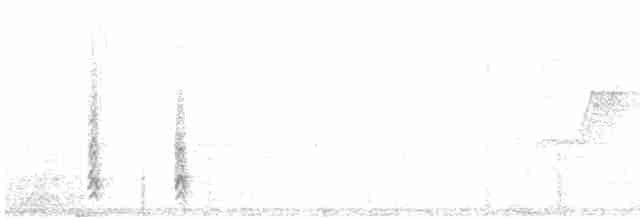 Wanderdrossel (San-Lucas-Wanderdrossel) - ML417294781