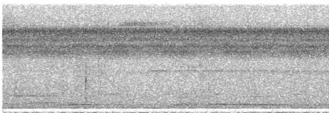 Weißstirn-Ameisenvogel - ML417296561
