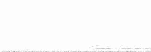 White-throated Nightjar - ML417517331