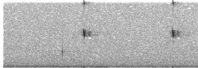 Scissor-tailed Nightjar - ML417583081