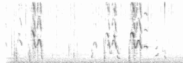 White-chinned Petrel - ML417621601