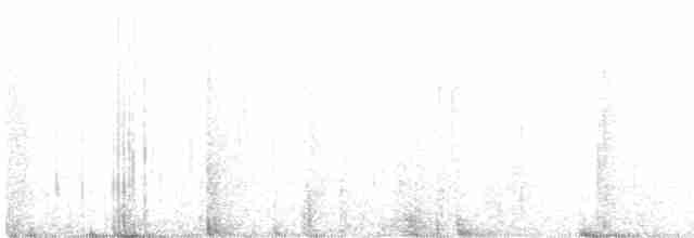 Graurücken-Dickichtschlüpfer - ML417818781