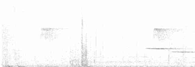 Дрізд-короткодзьоб андійський - ML417820571