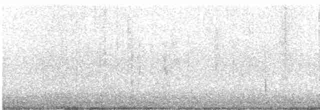 luněc vidloocasý - ML417965081