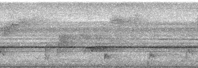 Diard Trogonu - ML41801