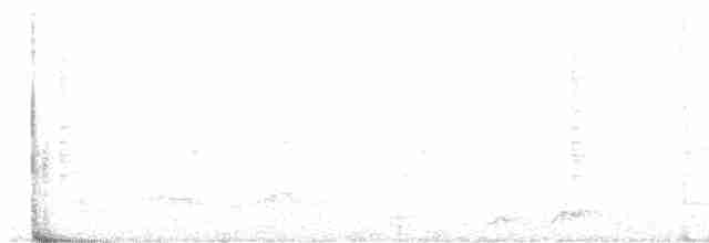 Belizenachtschwalbe - ML418215691