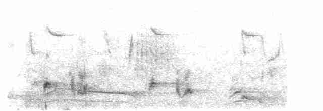 Орлан-рибалка малий - ML41823101