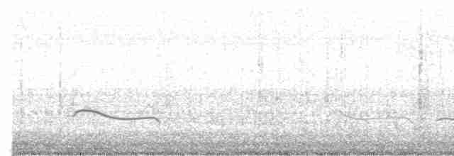 Black-bellied Plover - ML418256991
