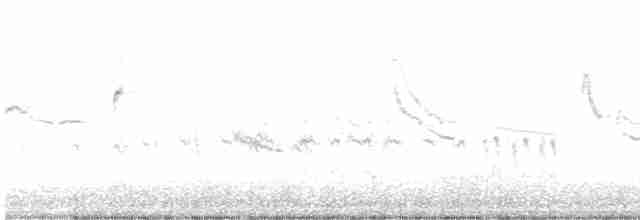 Lesser Goldfinch - ML418409361