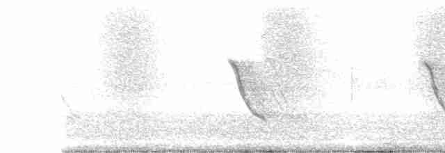 Common Tailorbird - ML418415451
