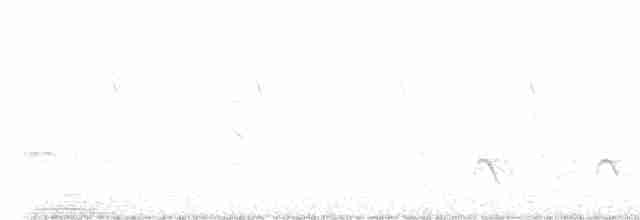 Белогорлый тугайный соловей - ML418436051