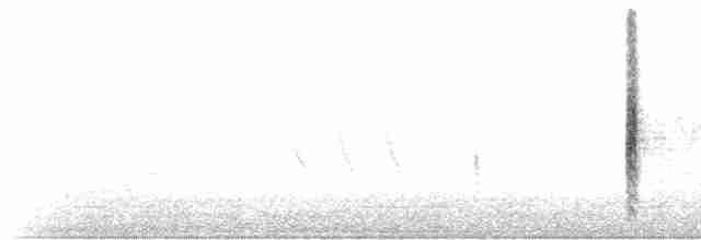 Al Kanatlı Karatavuk [phoeniceus grubu] - ML418547901