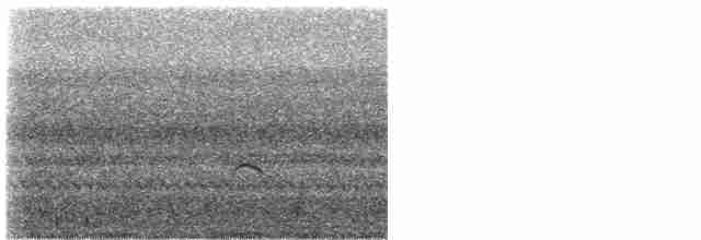 brunkinnskogtrost (swainsoni gr.) - ML418601891