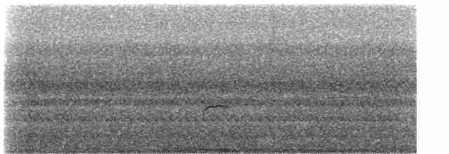 brunkinnskogtrost (swainsoni gr.) - ML418601911