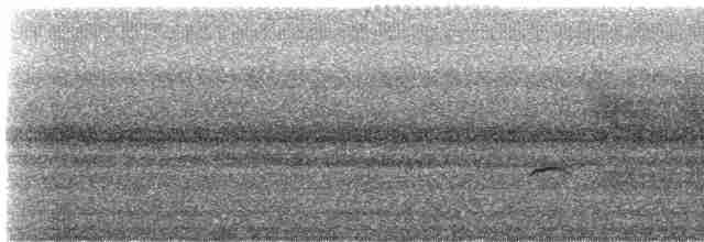 brunkinnskogtrost (swainsoni gr.) - ML418601921
