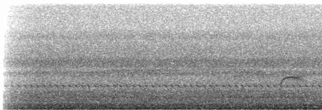 brunkinnskogtrost (swainsoni gr.) - ML418604441