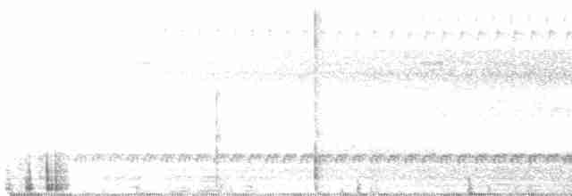 Лінивка-строкатка білошия - ML418609811