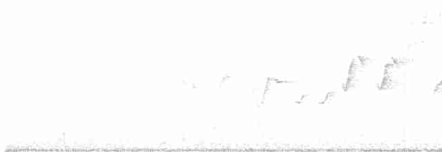 キンガシラアメリカムシクイ（ornatus） - ML418765691