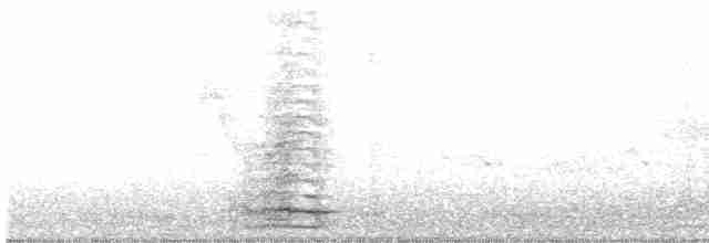 Банкивский петух (Одомашенного вида) - ML418851261
