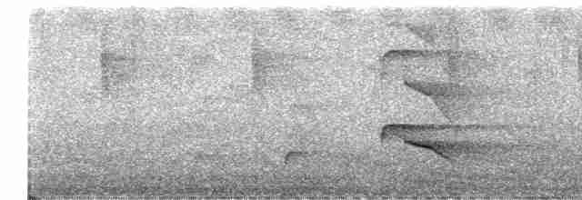 Орел-карлик індійський - ML418955521