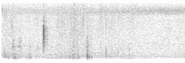 Clamorous Reed Warbler - ML419004701