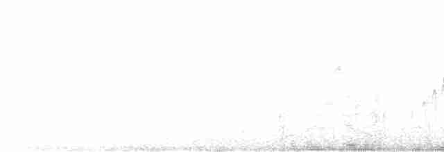 Eye-ringed Thistletail - ML419027991