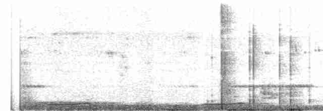 Сова-голконіг далекосхідна - ML419233711