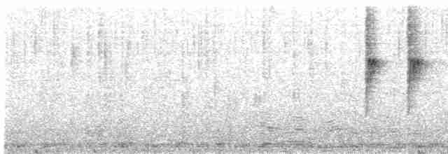 Yeşil Kuyruklu Nektarkuşu (angkanensis) - ML419241511