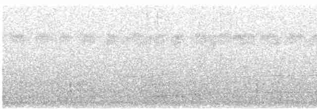 trogon černohlavý - ML419415341