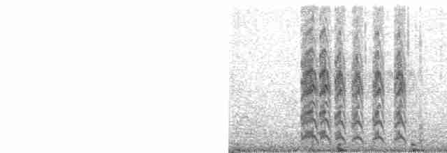 Kara Tepeli Kızkuşu - ML419497971