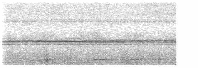Undulated Tinamou - ML419527231