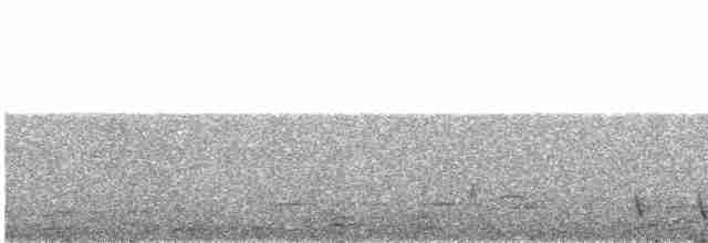 Gray Nightjar - ML419557131