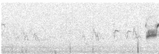 Пиренейский сорокопут - ML419644851