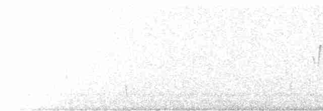 Troglodyte de Baird - ML419655551