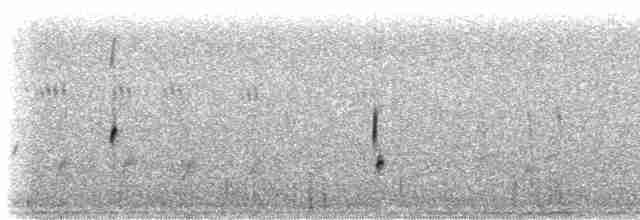 Plectrophane à ventre gris - ML419707331