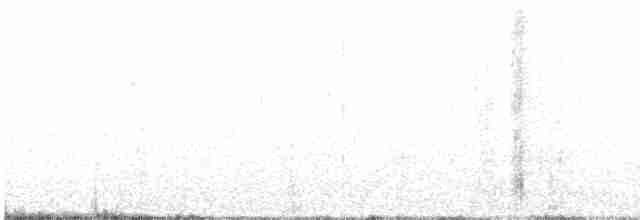 Large-tailed Antshrike - ML419753061