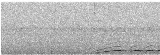 White-throated Nightjar - ML419760371