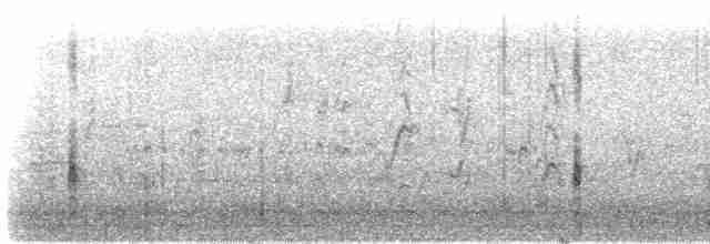 vlhovec člunoocasý (ssp. torreyi/alabamensis) - ML419804321