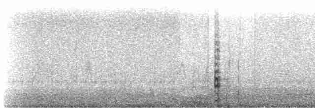 vlhovec člunoocasý (ssp. torreyi/alabamensis) - ML419805501