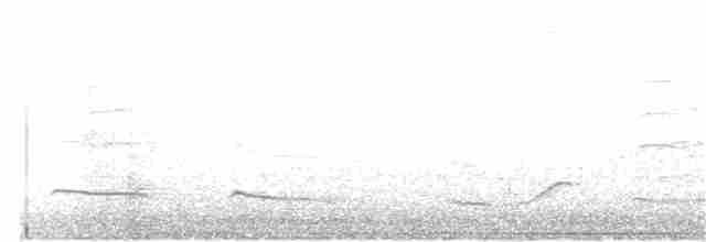 Oriole d'Audubon - ML41981361