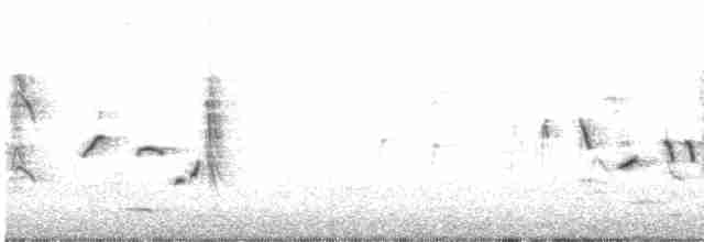 Striated Fieldwren - ML419935611